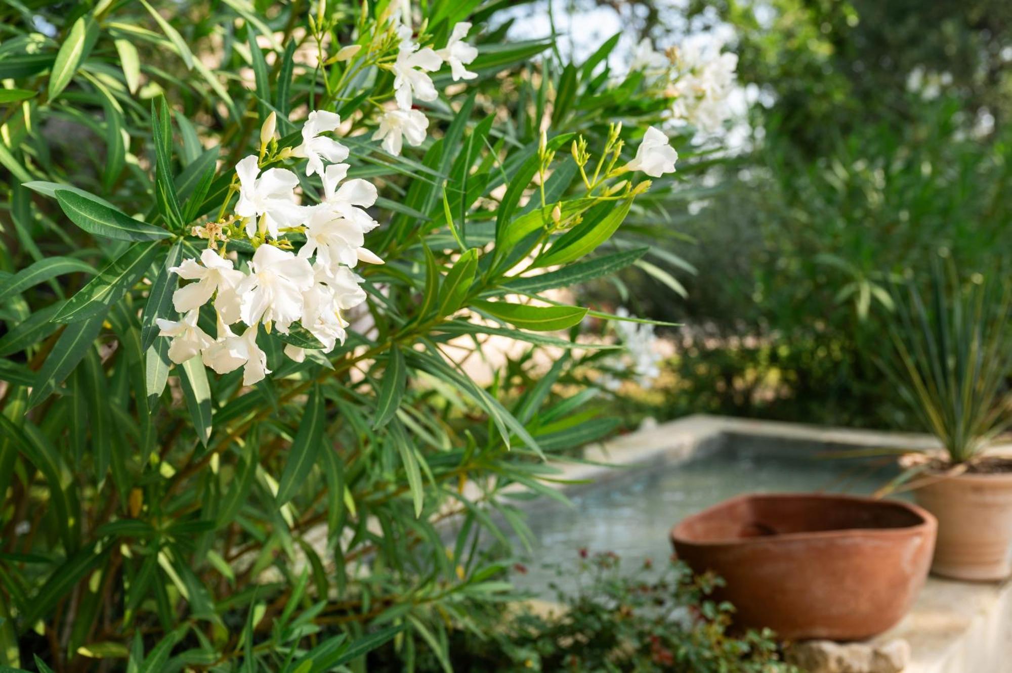 Maison D'Etienne Lacoste  Εξωτερικό φωτογραφία