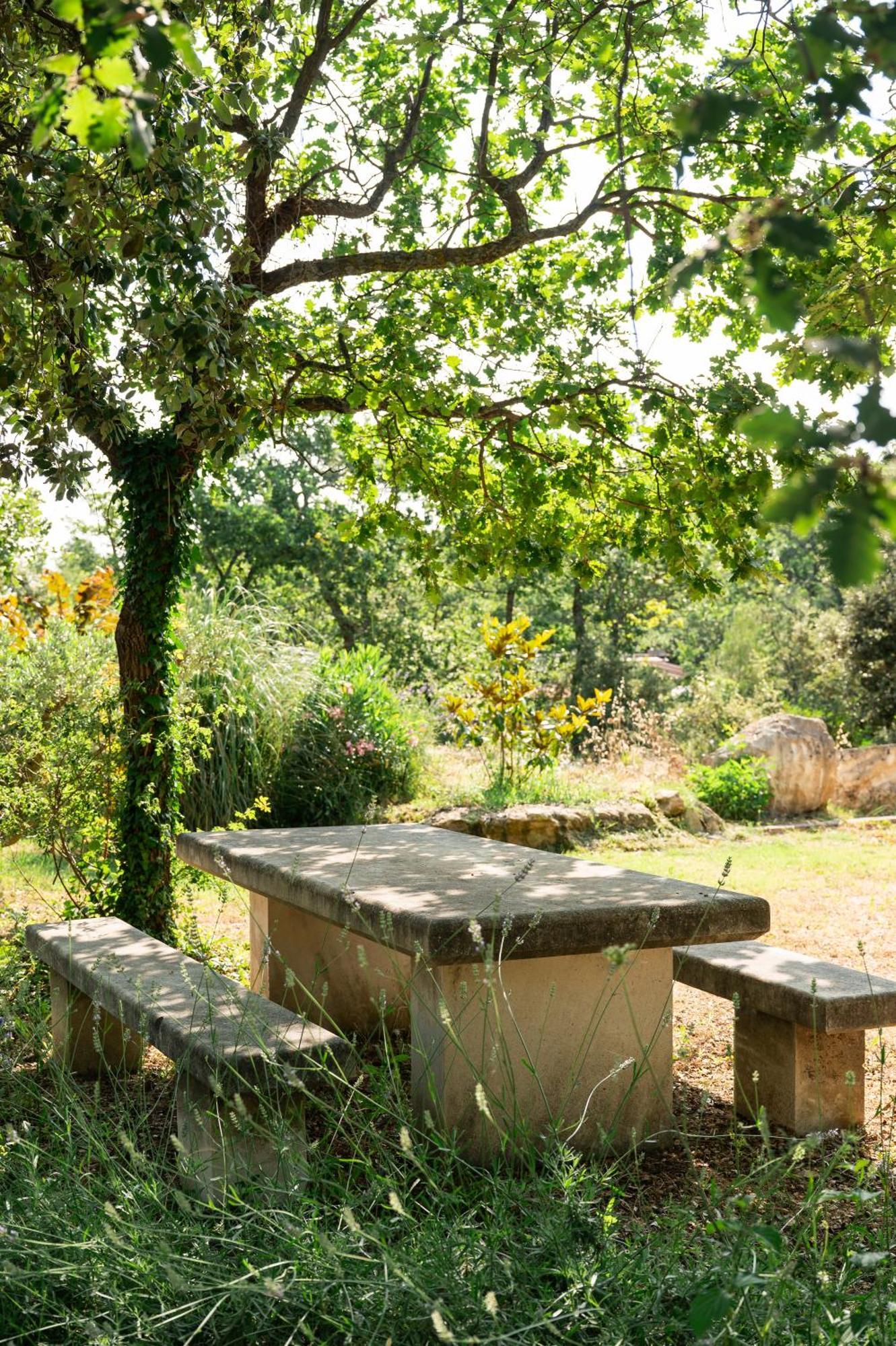 Maison D'Etienne Lacoste  Εξωτερικό φωτογραφία